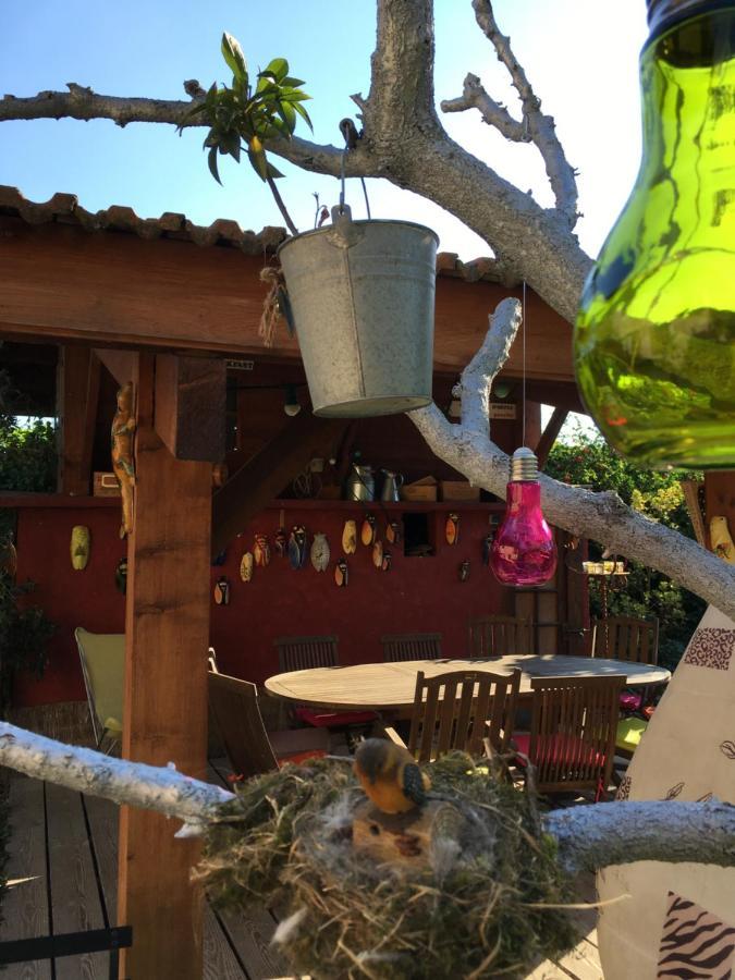 Les Pascals Bed & Breakfast Saint-Paul-les-Romans Luaran gambar