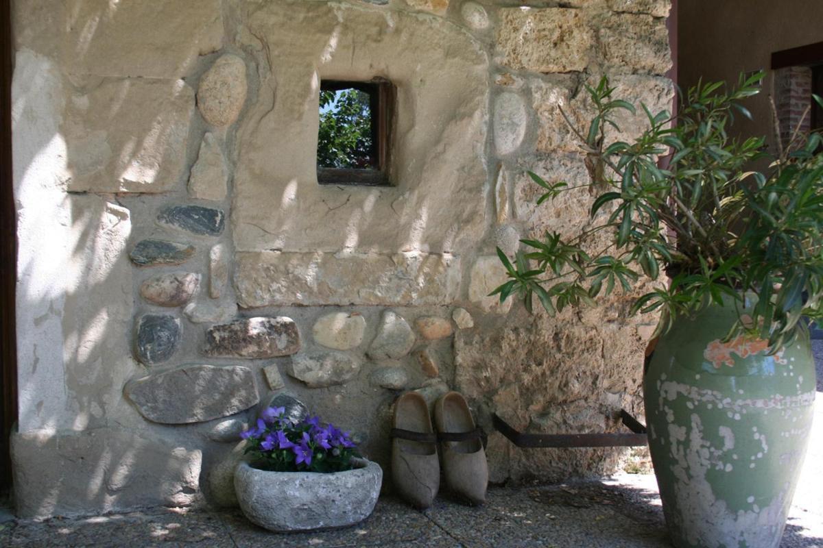Les Pascals Bed & Breakfast Saint-Paul-les-Romans Luaran gambar