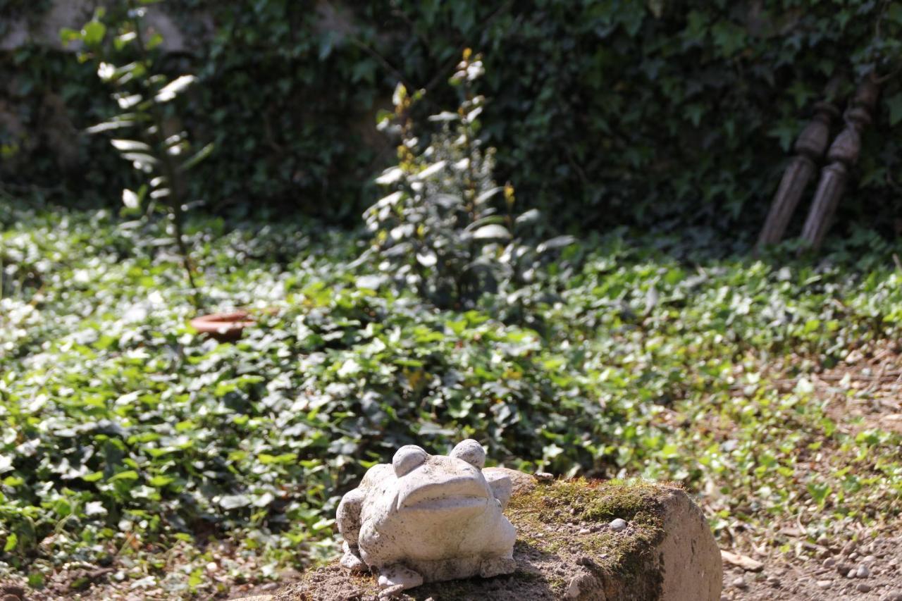 Les Pascals Bed & Breakfast Saint-Paul-les-Romans Luaran gambar