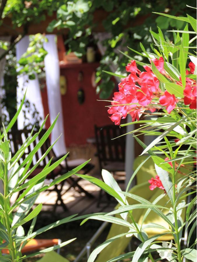 Les Pascals Bed & Breakfast Saint-Paul-les-Romans Luaran gambar