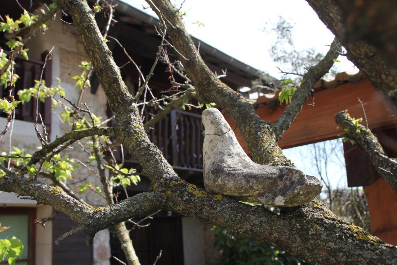 Les Pascals Bed & Breakfast Saint-Paul-les-Romans Luaran gambar
